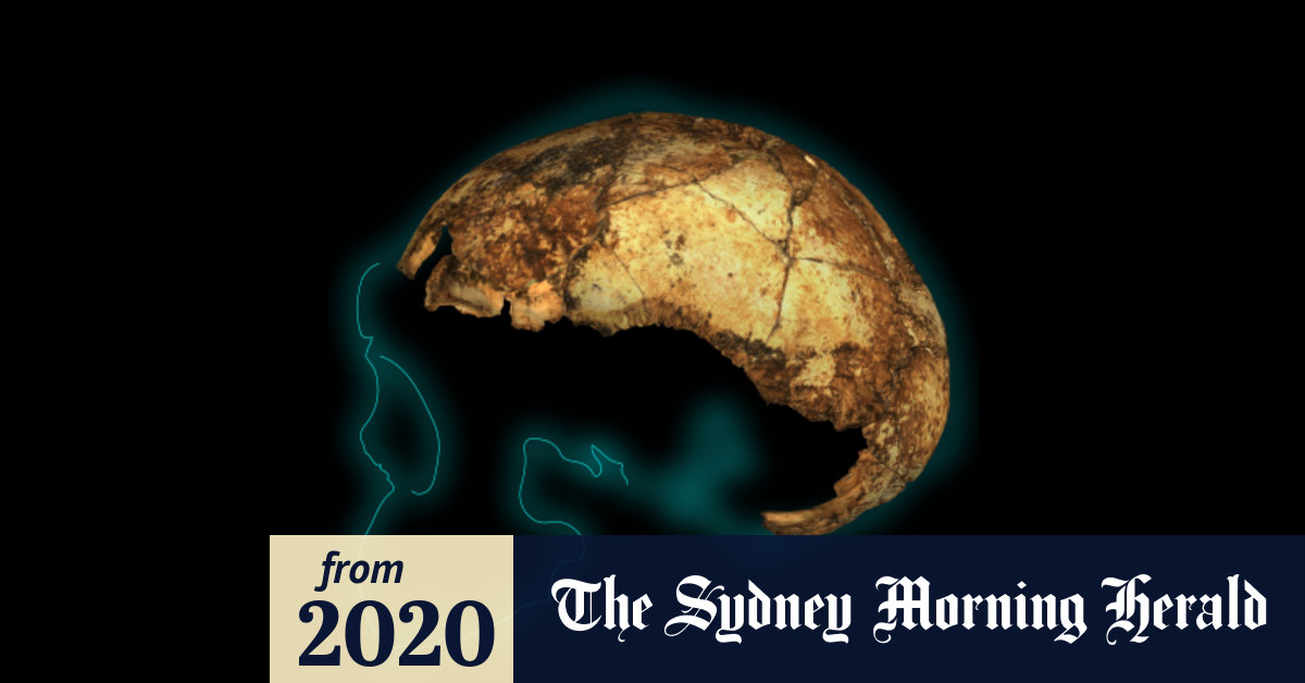 The Two Million Year Old Skull Rewriting The Story Of Humanity